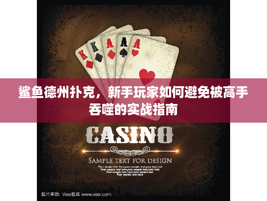 鲨鱼德州扑克，新手玩家如何避免被高手吞噬的实战指南