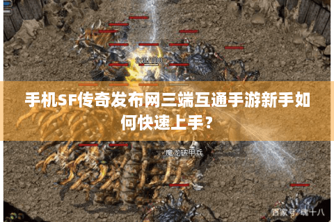 手机SF传奇发布网三端互通手游新手如何快速上手？