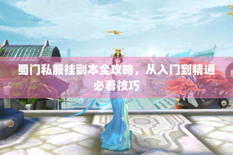蜀门私服挂副本全攻略，从入门到精通必看技巧