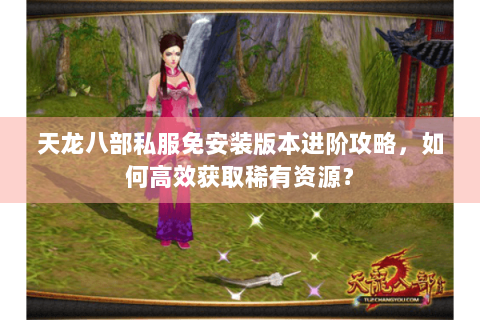 天龙八部私服免安装版本进阶攻略，如何高效获取稀有资源？