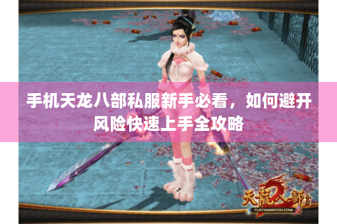 手机天龙八部私服新手必看，如何避开风险快速上手全攻略