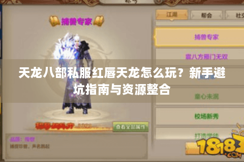 天龙八部私服红唇天龙怎么玩？新手避坑指南与资源整合