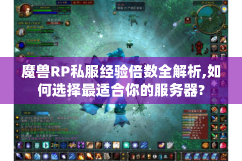 魔兽RP私服经验倍数全解析,如何选择最适合你的服务器?