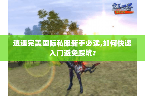 逍遥完美国际私服新手必读,如何快速入门避免踩坑?