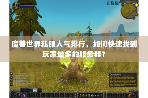 魔兽世界私服人气排行，如何快速找到玩家最多的服务器？