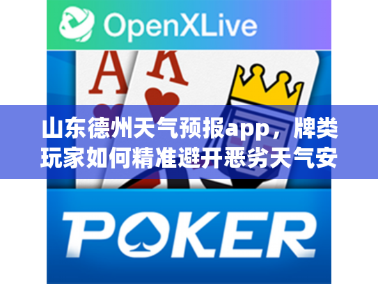 山东德州天气预报app，牌类玩家如何精准避开恶劣天气安排游戏聚会？