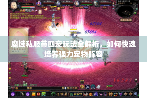 魔域私服带四宠玩法全解析，如何快速培养强力宠物阵容