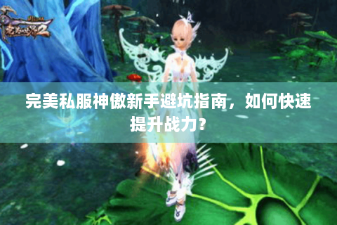 完美私服神傲新手避坑指南，如何快速提升战力？
