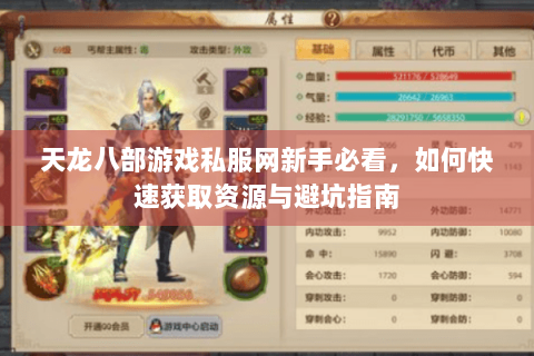 天龙八部游戏私服网新手必看，如何快速获取资源与避坑指南