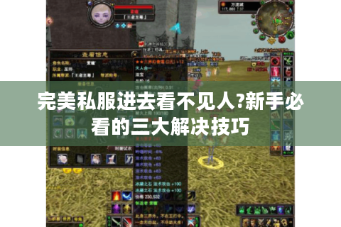 完美私服进去看不见人?新手必看的三大解决技巧
