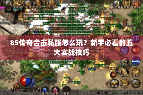 85传奇合击私服怎么玩？新手必看的五大实战技巧