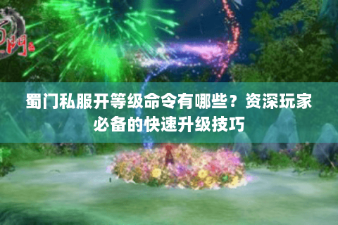蜀门私服开等级命令有哪些？资深玩家必备的快速升级技巧