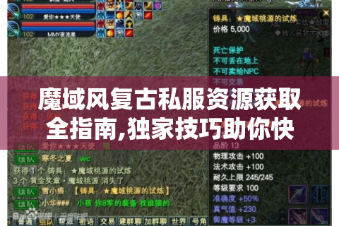 魔域风复古私服资源获取全指南,独家技巧助你快速变强