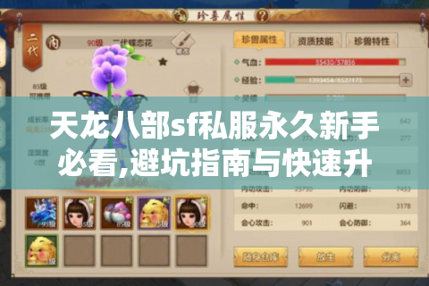天龙八部sf私服永久新手必看,避坑指南与快速升级攻略