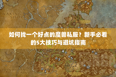 如何找一个好点的魔兽私服？新手必看的5大技巧与避坑指南