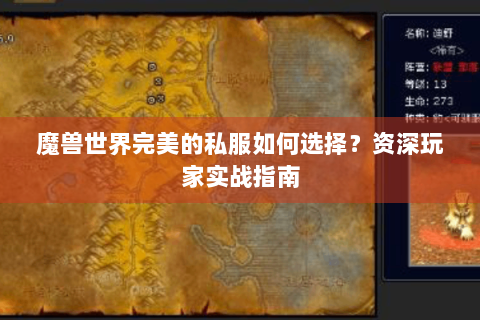 魔兽世界完美的私服如何选择？资深玩家实战指南