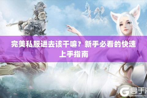 完美私服进去该干嘛？新手必看的快速上手指南