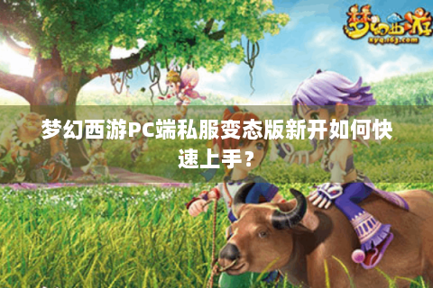 梦幻西游PC端私服变态版新开如何快速上手？