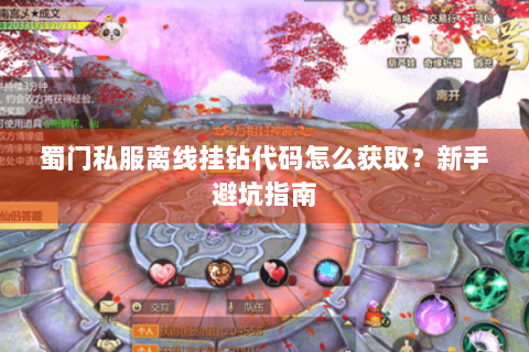 蜀门私服离线挂钻代码怎么获取？新手避坑指南
