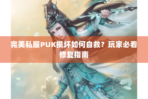 完美私服PUK损坏如何自救？玩家必看修复指南