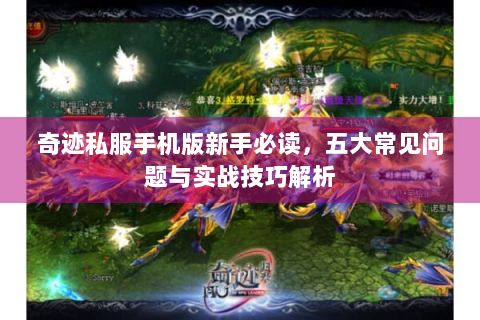 奇迹私服手机版新手必读，五大常见问题与实战技巧解析
