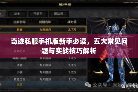 奇迹私服手机版新手必读，五大常见问题与实战技巧解析