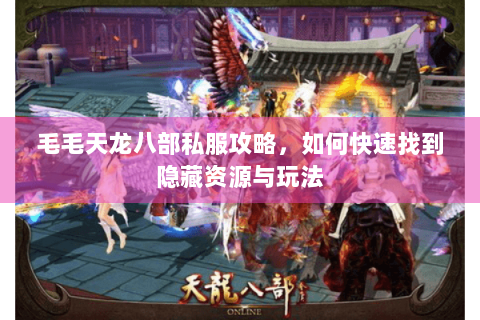 毛毛天龙八部私服攻略，如何快速找到隐藏资源与玩法