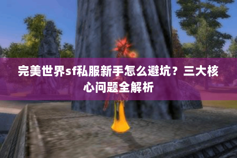 完美世界sf私服新手怎么避坑？三大核心问题全解析