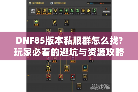 DNF85版本私服群怎么找?玩家必看的避坑与资源攻略