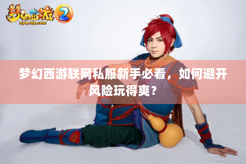 梦幻西游联网私服新手必看，如何避开风险玩得爽？