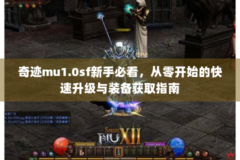 奇迹mu1.0sf新手必看，从零开始的快速升级与装备获取指南