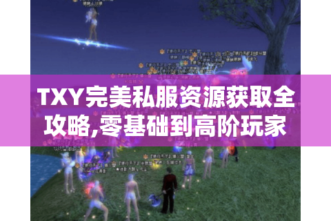 TXY完美私服资源获取全攻略,零基础到高阶玩家必看技巧