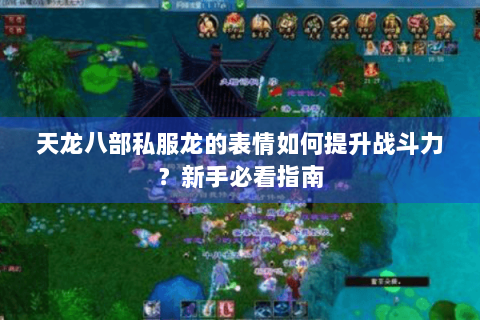 天龙八部私服龙的表情如何提升战斗力？新手必看指南