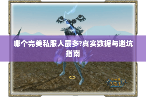 哪个完美私服人最多?真实数据与避坑指南