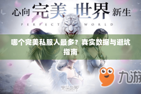 哪个完美私服人最多？真实数据与避坑指南