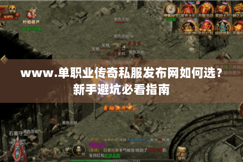 www.单职业传奇私服发布网如何选？新手避坑必看指南