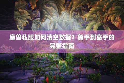 魔兽私服如何清空数据？新手到高手的完整指南