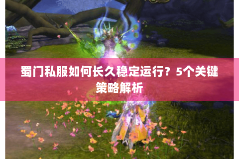 蜀门私服如何长久稳定运行？5个关键策略解析