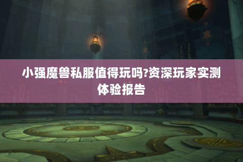 小强魔兽私服值得玩吗?资深玩家实测体验报告