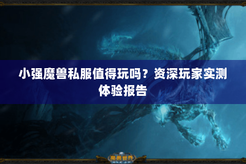 小强魔兽私服值得玩吗？资深玩家实测体验报告