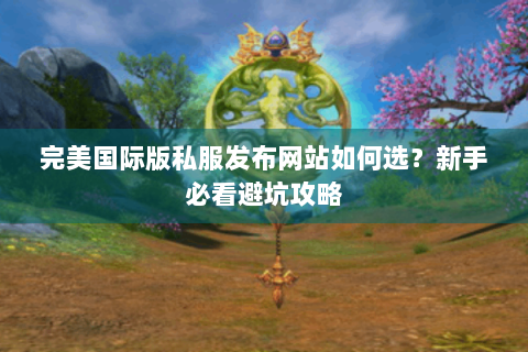 完美国际版私服发布网站如何选？新手必看避坑攻略