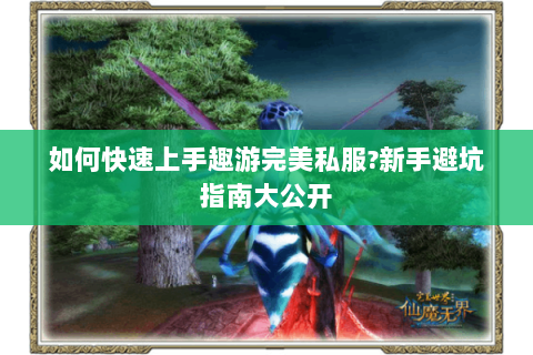 如何快速上手趣游完美私服?新手避坑指南大公开