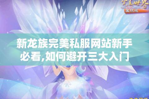 新龙族完美私服网站新手必看,如何避开三大入门陷阱?