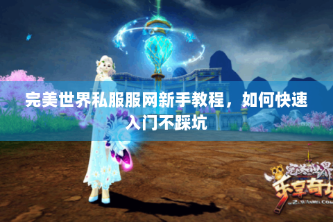 完美世界私服服网新手教程，如何快速入门不踩坑