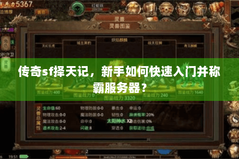 传奇sf择天记，新手如何快速入门并称霸服务器？