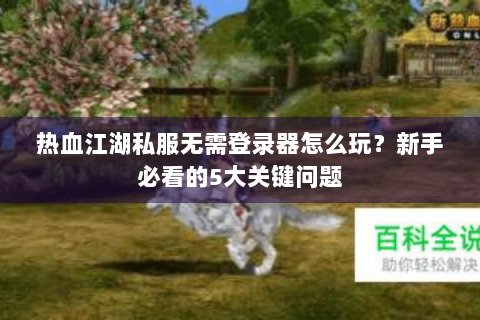 热血江湖私服无需登录器怎么玩？新手必看的5大关键问题