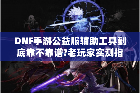 DNF手游公益服辅助工具到底靠不靠谱?老玩家实测指南