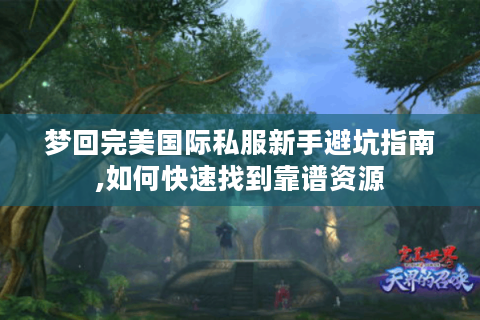 梦回完美国际私服新手避坑指南,如何快速找到靠谱资源