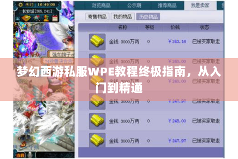 梦幻西游私服WPE教程终极指南，从入门到精通