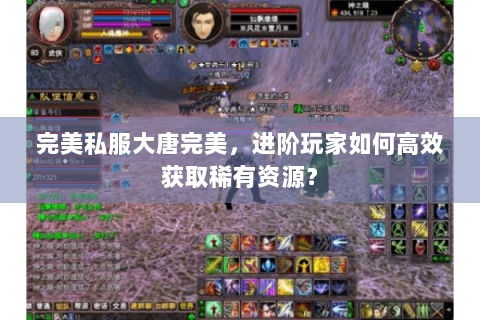 完美私服大唐完美，进阶玩家如何高效获取稀有资源？